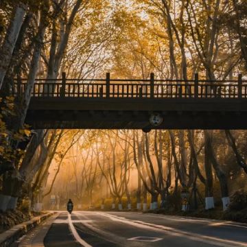 南京+无锡+苏州+乌镇+杭州7日6晚私家团