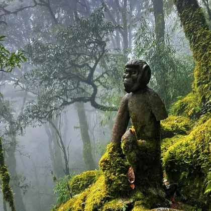 昆明+滇池+抚仙湖+哀牢山红河谷旅游景区+南恩瀑布3日2晚私家团