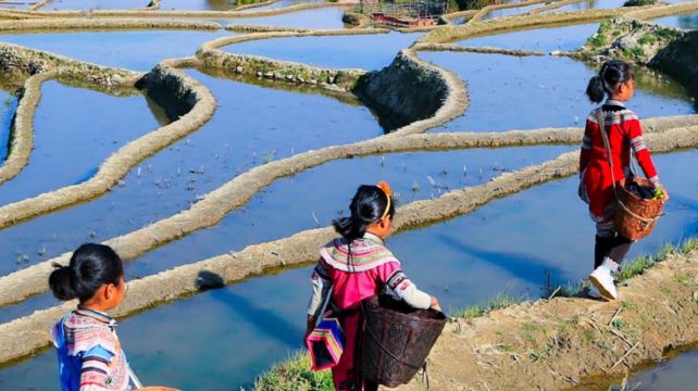 9-Day Natural and Cultural Yunnan Private Tour from Kunming·Dali, Lijiang and Shangri-La丨Erhai Lake Biking, Shuhe Ancient Town, Ancient Town Shaxi  and Tiger Leaping Gorge