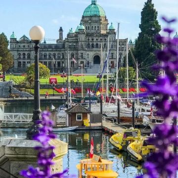 加拿大18日17晚私家团