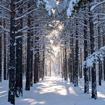 呼伦贝尔+额尔古纳+满洲里+阿尔山7日6晚私家团