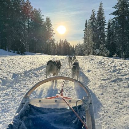 芬兰7日5晚拼小团