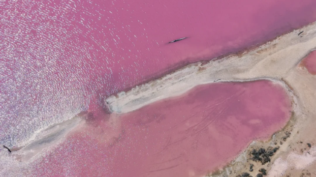 澳大利亞西澳大利亞珀斯+羅特尼斯島+傑拉爾頓+赫特瀉湖+卡爾巴里國家公園+尖峯石陣+瑪格麗特河+波浪巖7日6晚跟團遊·西澳全景旅行