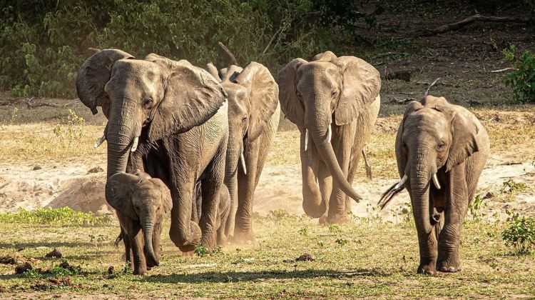 13-Day Cape Town to Victoria Falls Tour·Included Internal Flight, Soweto Bike Tour & Full-Day Kruger Safari