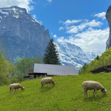 瑞士10日7晚私家团