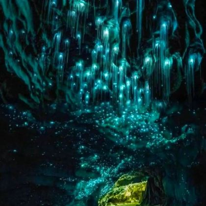 新西兰8日7晚私家团