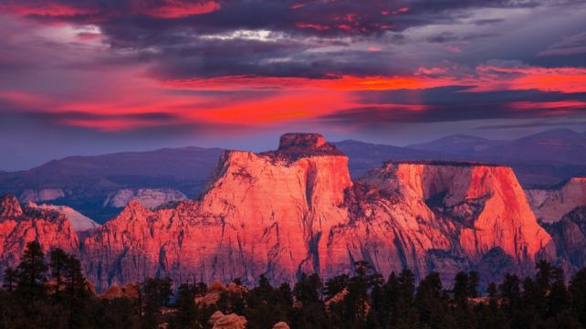 <4天>【行攝美西 色彩之旅】免費升級2晚拉斯楓丹白露酒店+ 洛杉磯金舊金山出·自然畫廊錫安國家公園+仙境布萊斯峽谷國家公園+攝影天堂羚羊彩穴+鬼斧神工馬蹄灣+《地心引力》取景地鮑威爾湖