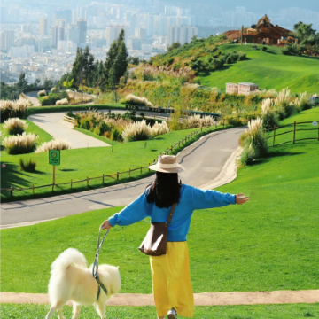 云南丽江+大理市5日4晚私家团