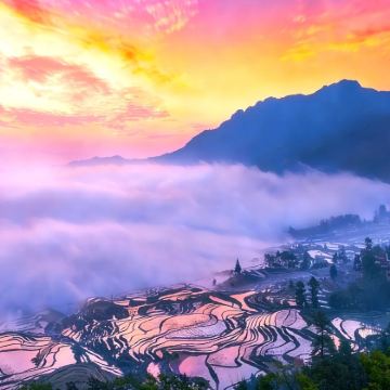 昆明+弥勒+元阳+建水+玉溪+元阳哈尼梯田+抚仙湖6日5晚私家团