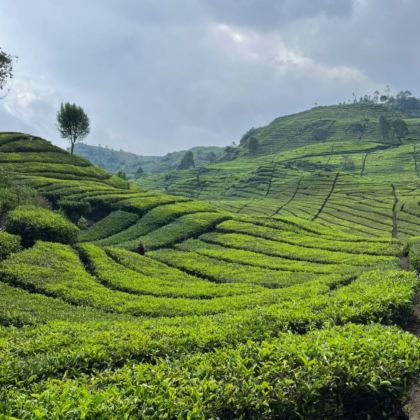 万隆市+日惹6日5晚私家团