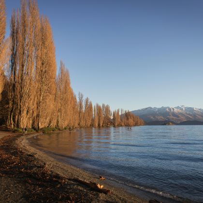 新西兰南岛+北岛11日跟团游