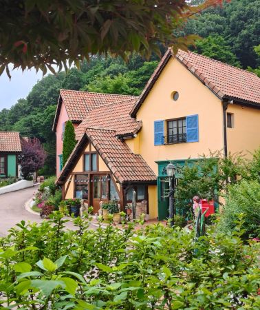 2天1晚 • 韓國首爾跟團遊「假期好去處·熱銷啟幕」南怡島＆鐵路自行車＆晨靜樹木園｜24H 專車接送機｜行中管家