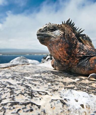 4D3N • 4 Day Galapagos Island Hopping Tour