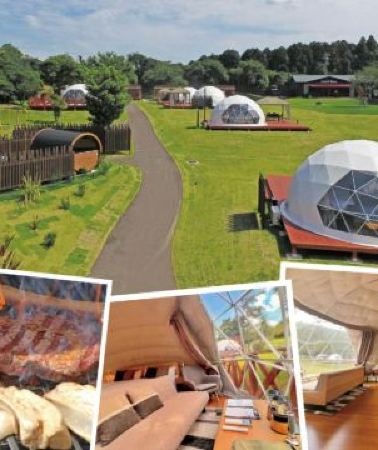 6日5晚 • 東京6天團 · 秋日Glamping之旅、【期間限定】Mother牧場豪華露營Glamping體驗+Mother牧場(欣賞花田美景)、賞紅葉名所(高德院~鎌倉大佛、鶴岡八幡宮、成田山新勝寺)