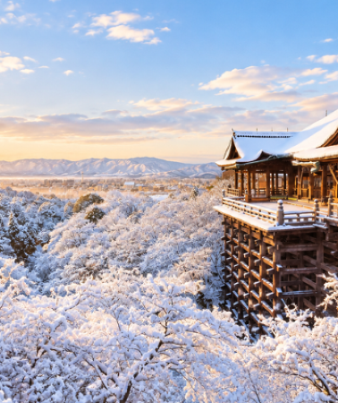 6 วัน 4 คืน • GO2KIX-TG100 KYOTO BIWAKO VALLEY OSAKA WINTER 6D 4N โดยสายการบินไทย [TG]