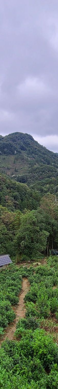 仙寓山景区-石台