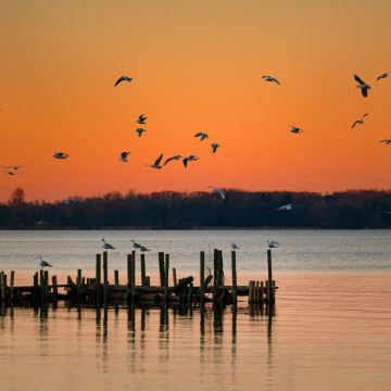 瑞士日内瓦州+苏黎世+劳特布龙嫩村+少女峰7日6晚私家团