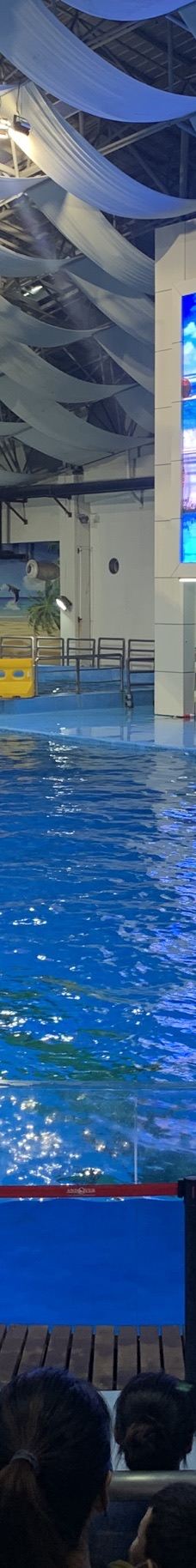 合肥海洋世界-合肥