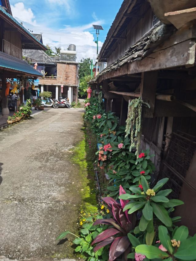 曼掌村旅行图片 1