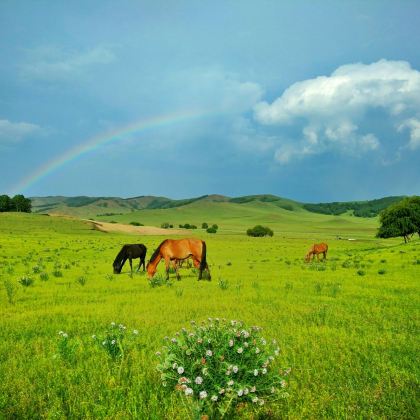 锡林郭勒盟草原+蒙古汗城旅游景区+锡盟西乌旗乌兰五台景区+乌拉盖草原+乌拉盖野狼谷景区+布林泉+呼伦贝尔+呼伦贝尔大草原+海拉尔+满洲里+阿尔山+额尔古纳10日9晚跟团游