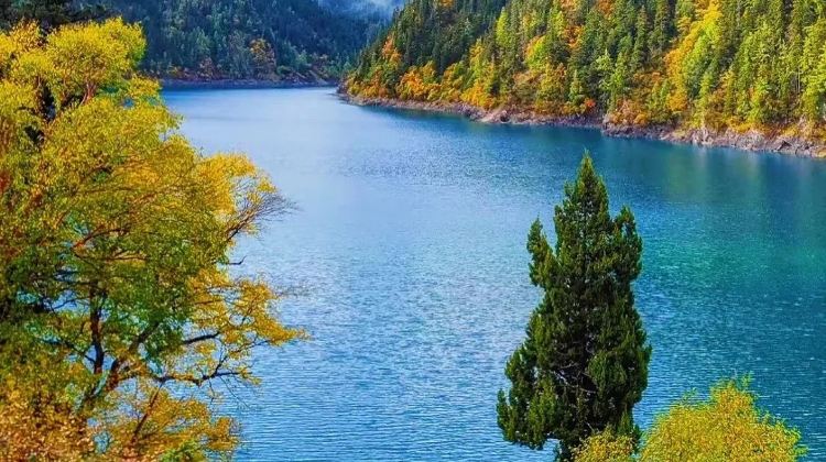 7-Day Autumn-Winter early bird- Sichuan highlights: Panda, Jiuzhaigou, Emei, Leshan, Sanxingdui. 5-star stays. Limited Golden Season Slots