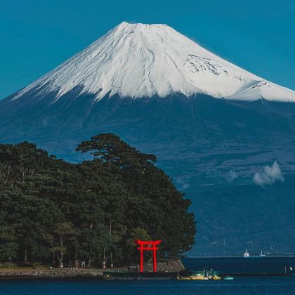 日本东京5日4晚自由行