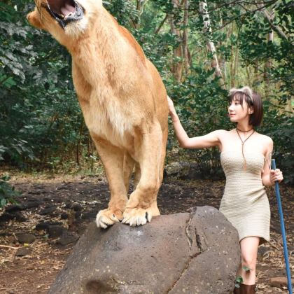 马达加斯加+毛里求斯+留尼汪（法属）+塞舌尔18日17晚私家团