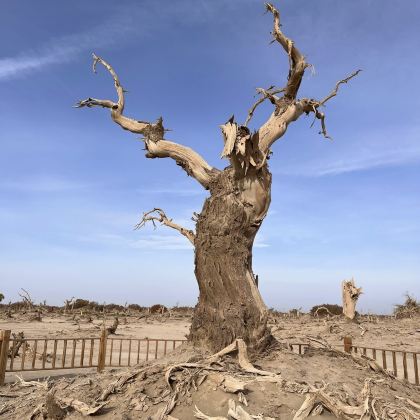 新疆南疆+阿拉尔+塔克拉玛干沙漠+喀什市+盘龙古道+帕米尔旅游景区-瓦罕走廊6日5晚私家团