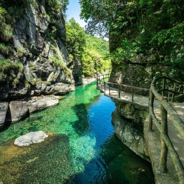 安徽池州+九华山+石台牯牛降+九华天池5日4晚私家团