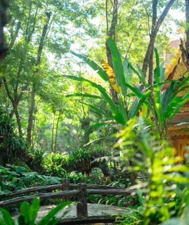 6D5N • Xishuangbanna & Pu'er: Wild Elephant Valley + Red Panda, Rhinoceros National Park + Tropical Botanical Garden + Handicraft Experience + Rainforest Trekking
