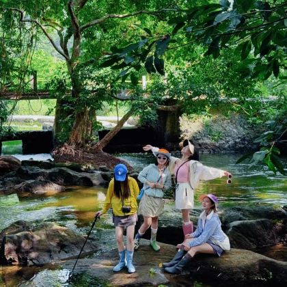 亲近自然•崇左秘境5天4夜亲子营【春假早鸟售〓全程跟拍摄影】3大IP:伏那秘境雨林徒步+德天瀑布+三娘湾追粉色海豚〓全程5钻酒店+亲子互动体验+壮语课堂+瓜果采摘+酸野制作+寻觅白头叶猴丨体验崇左边境生活