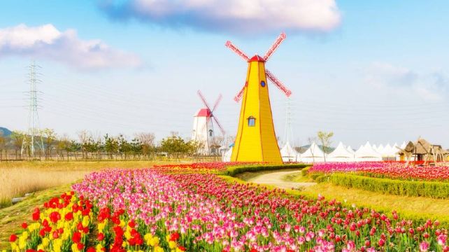 <9天>【欧洲五国浪漫探索】·四钻酒店 巴黎集散+含接送机+ 浪漫之都巴黎+欧盟总部布鲁塞尔+风情古城海德堡+童话风车村+袖珍小国卢森堡+中世纪古城布鲁日+科隆大教堂+华人中文导游