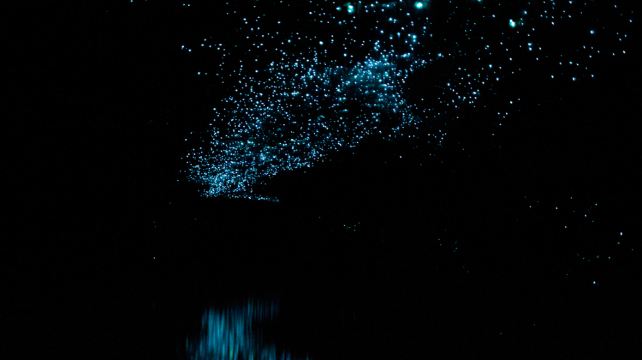 <11天>【9人奔驰小团 舌尖上的新西兰】5晚5钻酒店 全景新西兰·三文鱼料理+BBQ午餐、霍比特人村+萤火虫洞+爱歌顿农场+TSS蒸汽船+天空缆车、福克斯冰川+小蓝企鹅基地VIP票+瓦纳卡湖+库克山