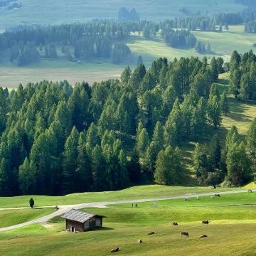 意大利7日6晚私家团