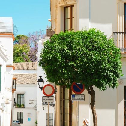 西班牙巴塞罗那+马德里+塞维利亚+格拉纳达12日11晚拼小团