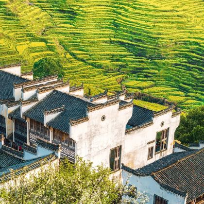 江西望仙谷+三清山风景区+婺女洲度假区+婺源篁岭景区3日2晚拼小团