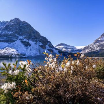 加拿大温哥华+萨蒙阿姆+班夫+维多利亚8日7晚私家团