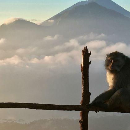 巴厘岛4日3晚私家团