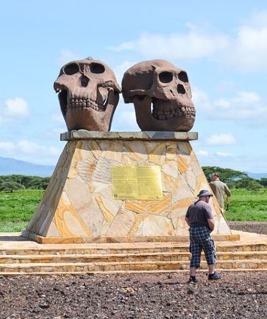 6D5N • 6 Days lodge &camping tour Serengeti ,Tarangire ,Ngorongoro Crater and Manyara