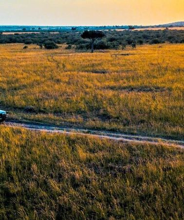 3D2N • Maasai Mara 3 Day Guided Tour