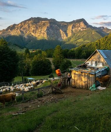 2D1N • Immersive 2-Day Tour/Homestay with Shepherds in the Albanian Alps
