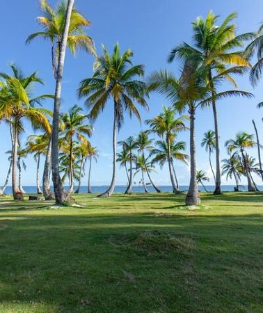 3D2N • 3-Day Boat Tour in San Blas with Pickup from Panama City