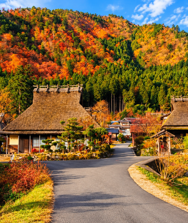 6D5N • Osaka, Nara, Kyoto, and Wakayama, Japan