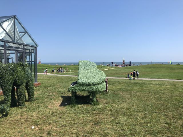阿卡小镇海岸白帆旅行图片 1