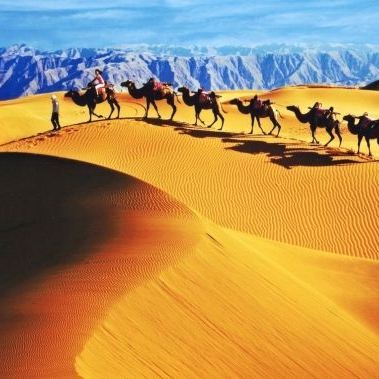 宁夏银川+中卫沙坡头6日5晚私家团