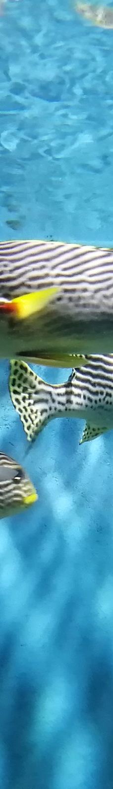 合肥海洋世界-合肥