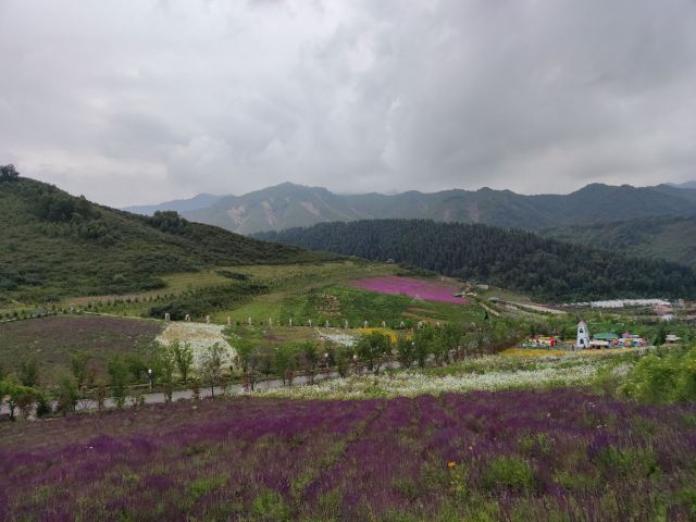 边麻沟花海(暂停开放)旅行图片 3
