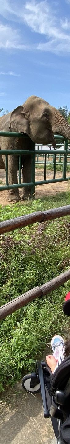 秦皇岛野生动物园-秦皇岛