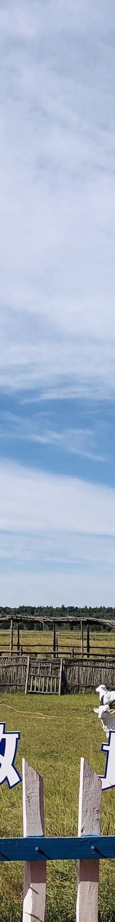 苏泊罕大草原旅游景区-伊金霍洛旗