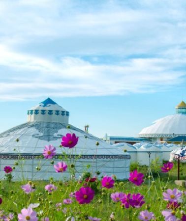 12D11N • Yinchuan + The Mausoleum of Genghis Khan + Whistling Dune Bay + West Dreamy Valley + Shapotou Scenic Area + The Western Xia Mausoleum + Helan Mountain Rock Painting